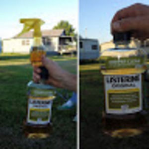 Meet your Posher, Tom